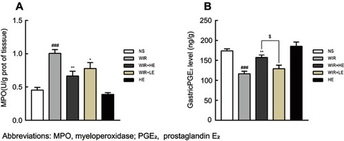 Figure 6 Effect of esomeprazole pre-treatment on MPO and PGE2 levels after induction of stress ulcer induced by WIR.