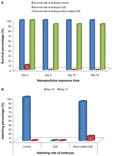 Figure 18 (A) Survival rate and (B) Hatching rate of embryos treated with bare cadmium sulfide (CdS) and silica-coated CdS quantum dots.