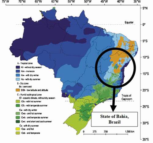 Figure 1. Climate classification for Brazil, according to the Koppen criteria, highlighting the state of Bahia