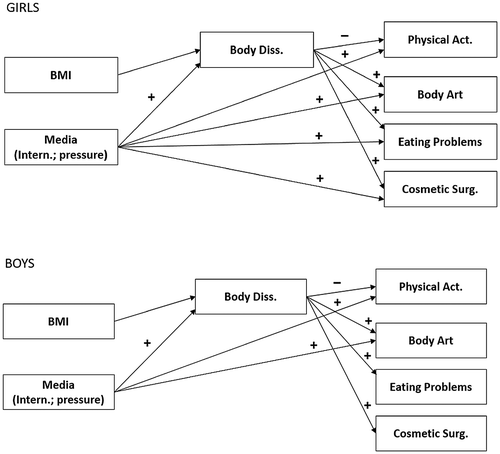 Figure 1. Proposed path model on females and males.