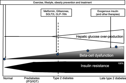 Figure 2 Therapeutic strategies for T2DM during time. This figure summarizes the key therapeutic strategies employed for people with T2D at different stages.