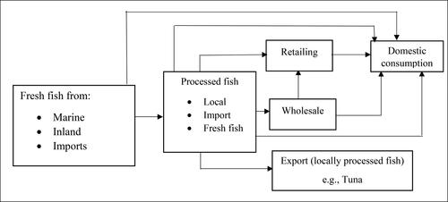 Figure 1. A typical fish marketing chain in Ghana.Source: Modified from Nunoo et al. (Citation2015).