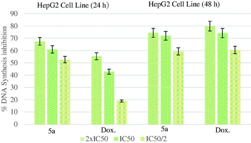 Figure 4. % DNA synthesis inhibition activities of compound 5a and doxorubicin against HepG2 cell line.