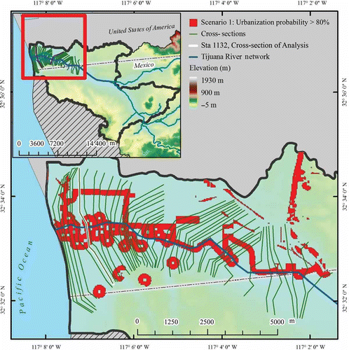 Fig. 7 Cross-sections within the area of analysis in the HEC-RAS flood-stage calculation. The reference cross-section 1132 is highlighted. (It is the seventh cross-section counted upstream of the lower boundary of the Tijuana River.)