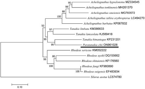 Figure 3. The phylogenetic tree is based on the complete mitochondrial genomes of Paratanakia chii and other 14 species.