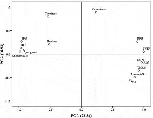 Figure 4. Principal compound analysis of some parameters related to different protein fractions of skate muscle. MFN: Myofribrillar fraction nitrogen, SPN: Sarcoplasmic protein nitrogen, NPN: Non-protein nitrogen, ASN: Alkali-soluble protein nitrogen, TSP: TCA-soluble peptide