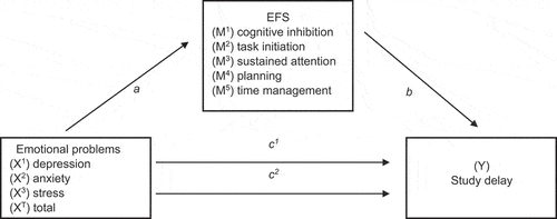 Figure 1. Path diagram of the mediation model; values of the estimates are shown in table 3.