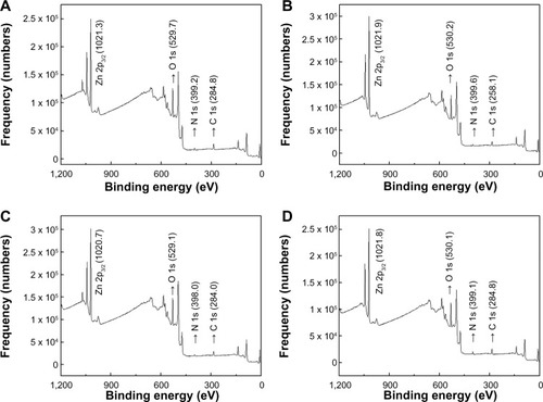 Figure 3 X-ray photoelectron spectra for (A) ZnOSM20(−), (B) ZnOSM20(+), (C) ZnOAE100(−), and (D) ZnOAE100(+).