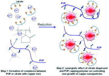 Figure 6. Synergistic effect of citrate dispersant and PVP capping polymer on controlling size growth of CuNPs.