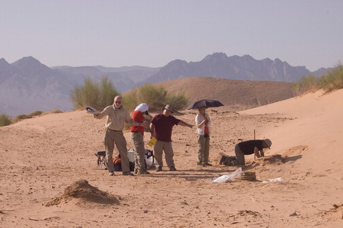 Geomorphology team in action excavating Test Pit 9 at Barqa