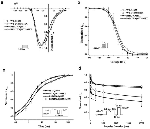 Figure 3. Voltage-dependence of activation (a), inactivation (b), recovery from inactivation (c), and intermediate inactivation (d) for R1512W and WT channels with and without MEX as in Figure 3 except in the Q1077 background. The activation and inactivation midpoint are not difference between WT and mutant channels. However, the slower time constants of recovery and enhanced intermediate inactivation were showed for R1512W compared with WT with and without MEX in the Q1077 splice variant background. # p < 0.05 indicates intermediate inactivation were significantly different compared R1512W and WT in Q1077 background