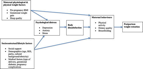 Figure 1. A conceptual model of psychosocial predictors of postpartum weight retention.