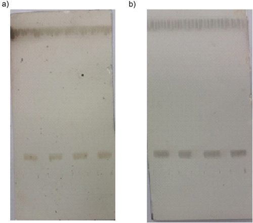 Figure 2. Staining of HPTLC plates with a) modified copper (II) sulphate reagent b) sulfuric acid in methanol, sample 2.5 μg of sphingomyelin standard quadruplicate.