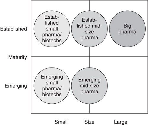 Figure 1. Different company types regarding size and maturity of the companies.