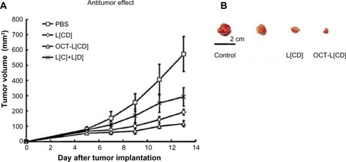 Figure 3 Antitumor efficiency of different treatments in MCF-7-bearing subcutaneous tumor models in nude mice. (A) Tumor volumes versus time. Data represent mean ± standard deviation (n=6). (B) Tumors excised at the end of the tests.Note: Springer and Pharm Res, 29, 2012, 2902–2911, Spatiotemporally controlled co-delivery of anti-vasculature agent and cytotoxic drug by octreotide-modified stealth liposomes, Dai W, Jin W, Zhang J, et al, Figure 10.Citation78 With kind permission from Springer Science and Business Media.Abbreviations: PBS, phosphate buffer solution; OCT, octreotide.