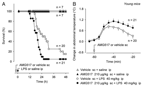 Figure 1 Systemic pretreatment with AMG517 (dose indicated) decreases survival of young mice in LPS-induced SIRS (A). Confirming an effective blockade of TRPV1 channels, the AMG517 pretreatment increases deep Tb in young mice (B).