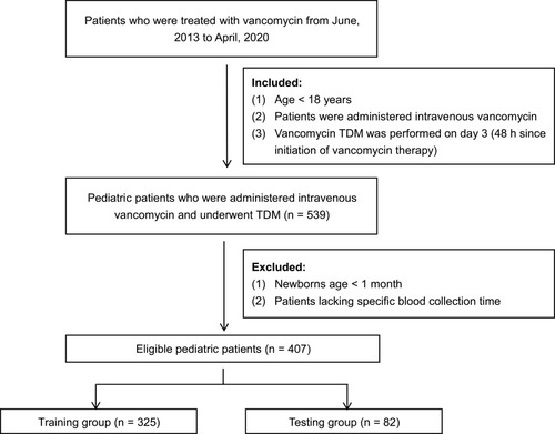Figure 1 Flowchart of the process of including pediatric patients with intravenous vancomycin in this study.