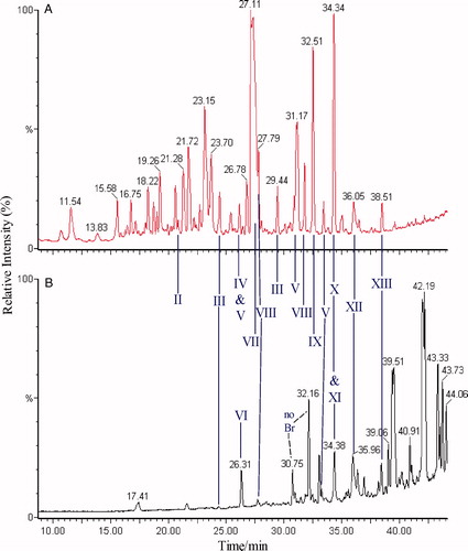 Figure 3. HPLC-oa-TOFMS (TIC) profiles of 0–12 h urine (A), and 0–6 h bile (B) of a rat dosed at 50 mg kg−1 with 4-bromoaniline, metabolite peaks are indicated. See Tables 4 and 5 and Figure 6 for key to peak identities and structures.