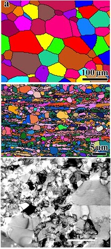 Figure 13. Actual micrographs of some heterostructured materials. (a) EBSD image of initial coarse-grained equiaxed pure titanium [Citation153], (b) EBSD image of heterogeneous lamellar Ti after partial recrystallization [Citation153], and (c) shows a transmission electron micrograph of a copper specimen that exhibits bimodal distribution of grain sizes. This specimen was rolled at liquid nitrogen temperature to 93% cold work and then annealed at 200°C for 3 min. This latter treatment produced about 25 vol.% of grains with sufficiently large sizes [Citation151].