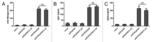 Figure 2. IL-22 as a molecular adjuvant failed to enhance anti-HBsAg humoral response. Sera from immunized mice was collected and pooled 7 d after the third immunization and analyzed by ELISA; (A) Total IgG was quantified with a commercial IgG standard; (B) IgG1 and (C) IgG2a isotypes against HBsAg were quantified against dilutions of standard mouse IgG subtypes. Data shown are representative of three independent experiments (ns, p > 0.05).