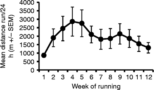 Figure 2.  Mean distance run per 24 h ( ± SEM) calculated weekly over the 12 weeks of the study in rats (n = 8) given voluntary access to running wheels. As is typically observed in Sprague–Dawley rats, the daily average distance run increased initially until the fourth/fifth week of running, and gradually decreased thereafter. Repeated measures ANOVA on mean running distances was significant (p = 0.002), as was the quadratic component (p = 0.048).