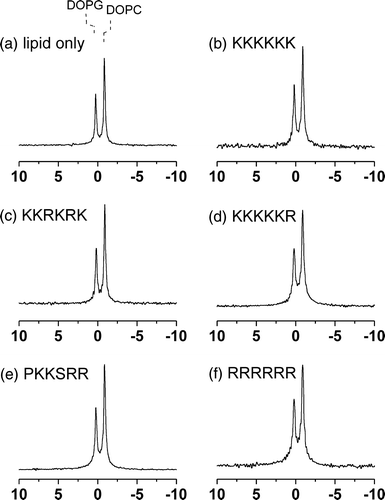 Figure 2.  31P MAS NMR spectra of MLVs of DOPC/DOPG (2:1 molar ratio) at 4°C. Spectra are shown for the lipid sample alone (a) and after the addition of the 5 basic hexapeptides to a lipid/peptide molar ratio of 20:1 (b–f).