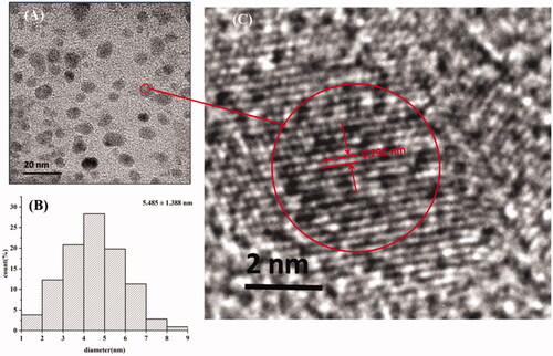 Figure 2. Characteristics of mulberry silkworm cocoon-derived carbon dots (MSC-CDs). (A) Transmission electron microscopy (TEM) image. (B) Histogram depicting particle size distribution. (C) High-resolution TEM (HRTEM) image.