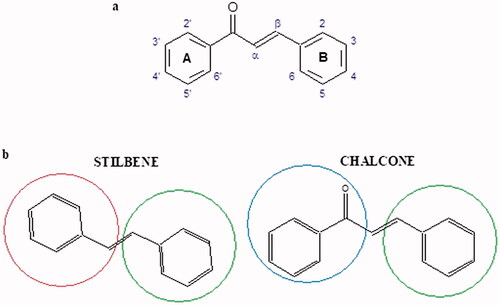 Figure 21. a) A basic structure of chalcones (1,3-diphenyl-2-propen-1-one); b) The difference in structure between stilbenes and chalcones.