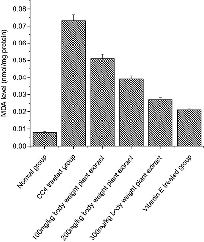 Figure 2. The effect of C. songarica methanol extract on rat heart tissue homogenate lipid peroxidation in CCl4-treated rats. The data are presented as means ± SD for six animals in each observation and evaluated by one-way ANOVA followed by Bonferroni’s t-test to detect inter group differences. Differences are considered to be statistically significant if p < 0.05.