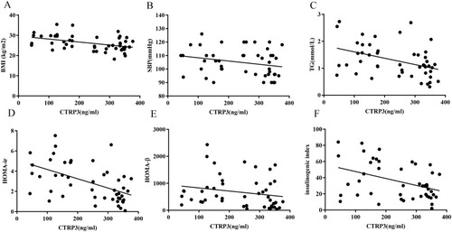 Figure 3 Scatter plots showing the correlation of serum CTRP3 levels with insulin BMI (A), SBP (B), TG (C), HOMA-IR (D), HOMA-β (E) and insulinogenic index (F) in obese subjects.