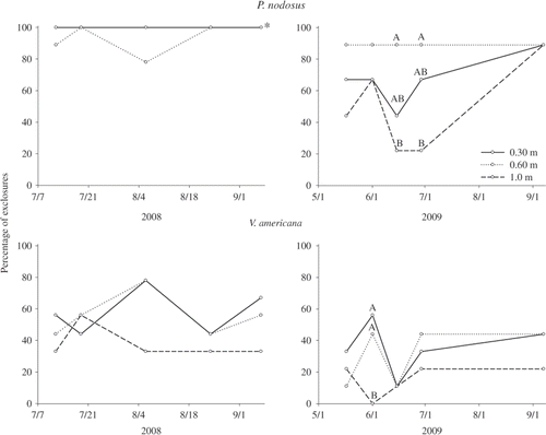 Figure 2. Percentage of exclosures containing living propagules of macrophytes (by depth) planted in LBCR during 2008 and 2009. Upper graphs = P. nodosus, lower graphs = V. americana. Different capital letters represent significant differences in percentage survival on that sampling date. Asterisk (*) in upper left graph indicates an overlap in survival percentages of 0.3 m and 1.0 m depths.