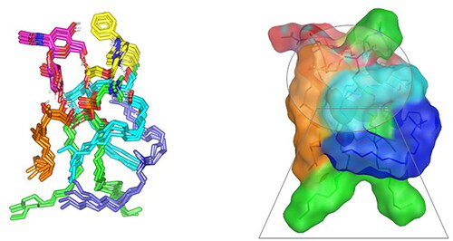 Figure 6. Overlay of LVC-PC-CCPCs additive heterocomplex across MD simulation frames (left panel) and molecular surface 3 D-representation of the inverted cone micellar configuration at 100% aqueous solvation system (right panel). Molecular surface and sticks 3 D representations were illustrated in colors being previously assigned for the optimized formulation components; yellow, green, cyan, blue, orange, and magenta for LVC, PC, Ceramide, DDAB, Phytantriol, and HA, respectively.Abbreviation: HA: hyaluronic acid; DDAB: dimethyldidodecylammonium bromide; PC: phospholipid; LVC: levocetirizine hydrochloride and CCPCs; cationic ceramide/phospholipid composite; MD: molecular dynamic simulation.