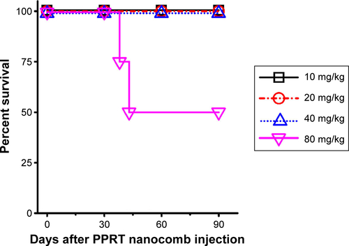 Figure S2 Determination of the in vivo toxicity of PPRT nanocomb to SCID mice.Notes: Four groups of four SCID mice were administrated tail-vein injections of different doses (from 10–80 mg/kg) of PPRT nanocomb every other day for five times. Survival curves were plotted according to Kaplan–Meier method and compared using log-rank test.Abbreviation: PPRT nanocomb, polyethylenimine polymer–rituximab–tositumomab.