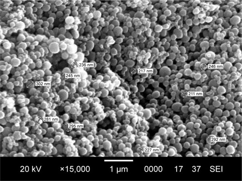 Figure 5 SEM image of IH2 encapsulated nanoparticles.Abbreviations: IH2, isoniazid benz-hydrazone; SEM, scanning electron microscopy.