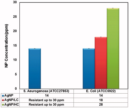 Figure 1. Minimum inhibitory concentration (MIC) of bare, low and high citrate coating of AgNPs against E. coli (ATCC5922) and S. aeruginosa (ATCC27853). The p values was <0.0001, considered extremely significant difference between MIC values of AgNPs against E. coli.