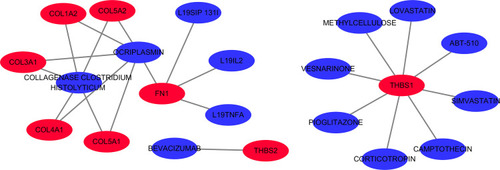 Figure 13 The 14 predicted drugs associated with the hub genes. Red represents hub genes and blue represents potential drugs.