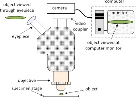 Figure 2. Typical set-up on optical microscope with digital image acquisition.