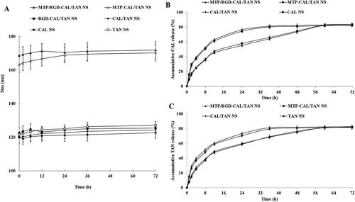Figure 4. The serum stability of nano-systems examined in PBS solution contained 10% (v/v) FBS (A). CAL (B) and TAN (C) release from nano-systems investigated using the dialysis method.