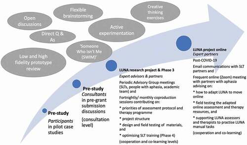 Figure 2 Levels, roles and methods of coproduction in LUNA