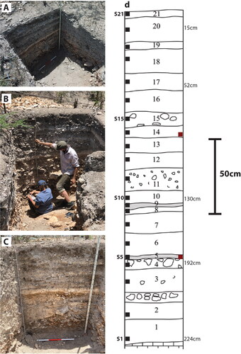 Figure 3. Archaeobotanical phytolith sampling, White Marl. (A) view of archaeological excavation in Sampling Unit T2-11; (B) recording and sampling stratigraphy in Unit T2-11; (C) stratigraphic profile of Unit T2-11 sampled for phytoliths (21 samples in total) and charcoal for C14 dating; (D) schematic of the 21 layers sampled for phytolith analysis (for description see Table 2). Black boxes indicate phytolith sample locations and red boxes indicate charcoal samples taken for C14 dating.