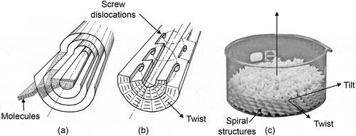 Figure 20. Proposed structures of TGB filaments, (a) shows the molecular distribution inside a filament, and (b) shows the locations of screw deformations along the central axis of a filament [Citation48]. (c) Hexagonal packing of spiralling filaments. Figures (a) and (b) reproduced from reference [Citation48] with permission of Taylor and Francis.