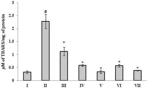 Figure 6. Effect of G. acerosa benzene extract on Aβ 25–35-induced lipid peroxidation in brain. The values are expressed as Mean ± SD. *p < 0.05 [Comparisons were made between groups II (Aβ 25–35 peptide treated) Vs I (CMC treated) & III (Aβ 25–35 peptide +200 mg/kg of extract in CMC), IV (Aβ 25–35 peptide +400 mg/kg of extract in CMC), V (400 mg/kg bw of extract), VI (Aβ 25–35 peptide + donepezil), VII (1 mg/kg bw of donepezil) Vs II (Aβ 25–35 peptide treated)].