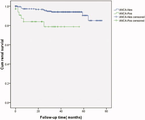 Figure 3. Kaplan–Meier survival curve illustrating patient survival independent of renal replacement therapy (RRT; all patients shown).