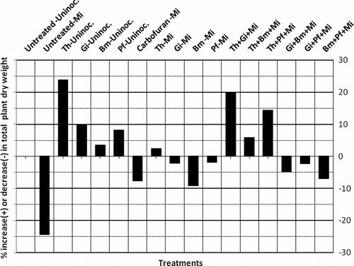 Figure 3.  Effect of different bio-inoculants on percent increase (+) or decrease (–) of total dry weight of menthol mint.