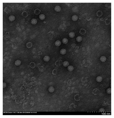 Figure 2. Electron microscopy of CA16 virions. Bar = 50 nm.