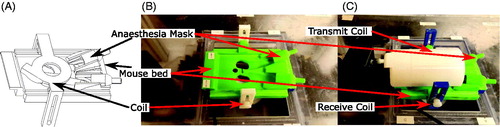 Figure 1. Ergonomic mouse treatment bed mounted in the FUS treatment tank. The custom RF coil can be mounted below (B) or above (A) the bed. The transducer (not shown in the figure) is placed below the mouse treatment bed and immersed in water. The transmit-only/receive-only (TORO) coil is mounted on the treatment bed (C) with the transmit-only half-birdcage coil over the mouse and the receive-only surface coil below.