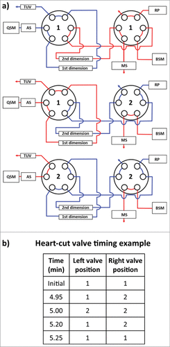 Figure 3. Instrument configuration schematic. (A) A column manager housing two 6-port 2-position valves was configured as illustrated by the schematic to perform heart-cuts of the 1st dimension separation. Valve position is denoted numerically as position 1 and 2. Abbreviations are defined as QSM: quaternary solvent manager, AS: auto sampler, TUV: tunable ultraviolet detector, BSM: binary solvent manager, RP: regenerative pump, MS: mass spectrometer. (B) Heart-cuts were performed in 0.2 minute intervals at or near the apex of the peak under investigation. An example of the heart-cut being performed on peak (C) from Figure 5c is illustrated in the example. The heart-cut was bracketed with a 3 second interval to purge residual ammonium sulfate in the fluidic path post 1st dimension column.