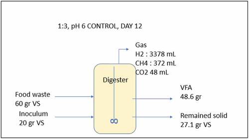 Figure 7. Mass balance illustration of the reactor with pH controlled at 6 and ISR 1:3