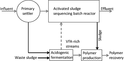 Figure 8. Schematic of a PHA-producing wastewater treatment plant.