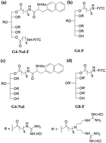 Figure 1. The chemical structure of the sorbitol-based molecular transporters synthesized in this study. (a) G4-Nal-F, (b) G4-F, (c) G4-Nal, and (d) G8-F.